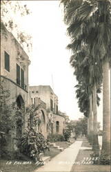 La Palmas Apartments and Palm Trees Postcard