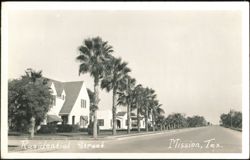 Residential Street with Palm Trees and Houses Postcard