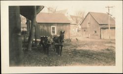 East Dover Teams Postcard