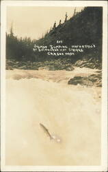Salmon Jumping Waterfalls, Shipherd's Hot Springs Postcard