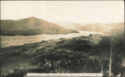 Townsite and Harbour Panoramic Overlook Postcard