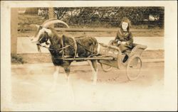 Girl in a Goat Cart Postcard