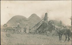 Threshing Machine Crew & Horse near Three Forks Postcard