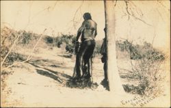 Mexican Revolution Execution Scene in Sonora Postcard