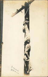 Mexican Revolution Execution on Telegraph Pole Postcard