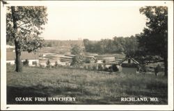 Ozark Fish Hatchery Postcard