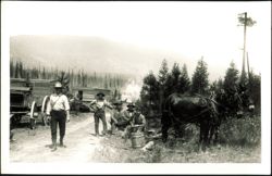Men with Horses and Wagons in Forest Clearing Postcard