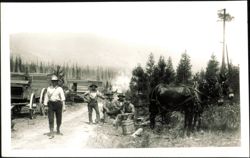 Lumberjacks and Horse Team at Logging Camp Postcard
