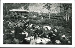Group Picnic in the Mountains with Horse-Drawn Wagon Postcard