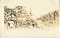 Bungalow and Warehouse, Roseen & Cox on Dock Postcard