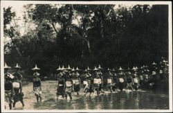 Cremation Parade Postcard