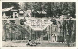 Jacob Lake Inn, Kaibab Forest, White Tail Squirrel Postcard