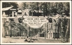 Jacob Lake Inn, Home of the White Tail Squirrel Postcard