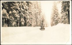 Car Driving on Deep Snow-Covered Road Through Pine Forest Postcard