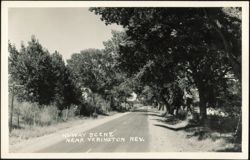 Hi-Way Scene Near Yerington Postcard