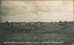 Cavalry of N.G.N.Y. & N.Y. City Companies, Pine Camp Postcard
