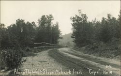Stock #1216820 Thumbnail