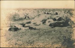 Mexican Revolution After a Battle in Mexico, Battlefield Casualties Postcard