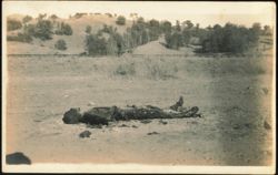 Mexican Revolution Charred Body in Field Near Railroad Tracks Postcard