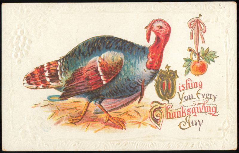 Wishing You Every Thanksgiving Joy Turkey and Apple