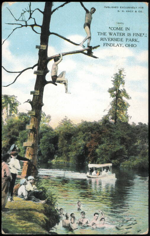 Come In The Water Is Fine, Riverside Park Diving Tree Findlay Ohio