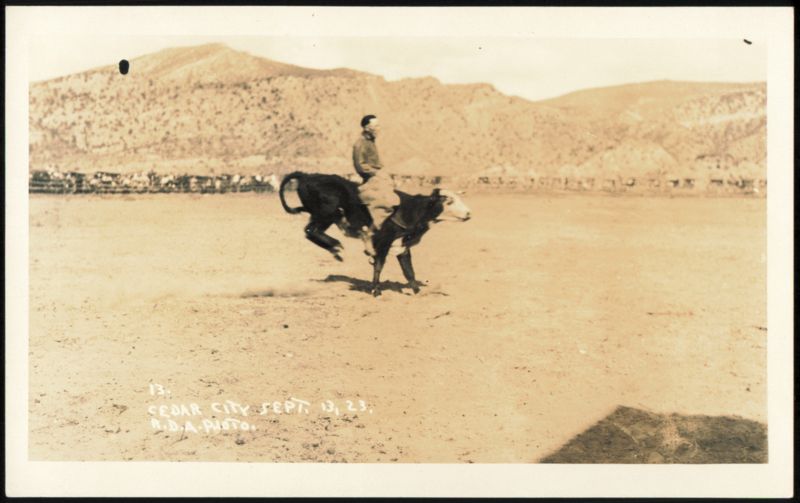 Bull Rider at Cedar City Rodeo, September 13, 1923 Utah