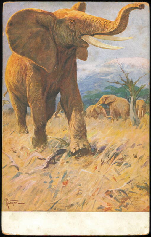 African Elephants in Savanna by K. Wagner