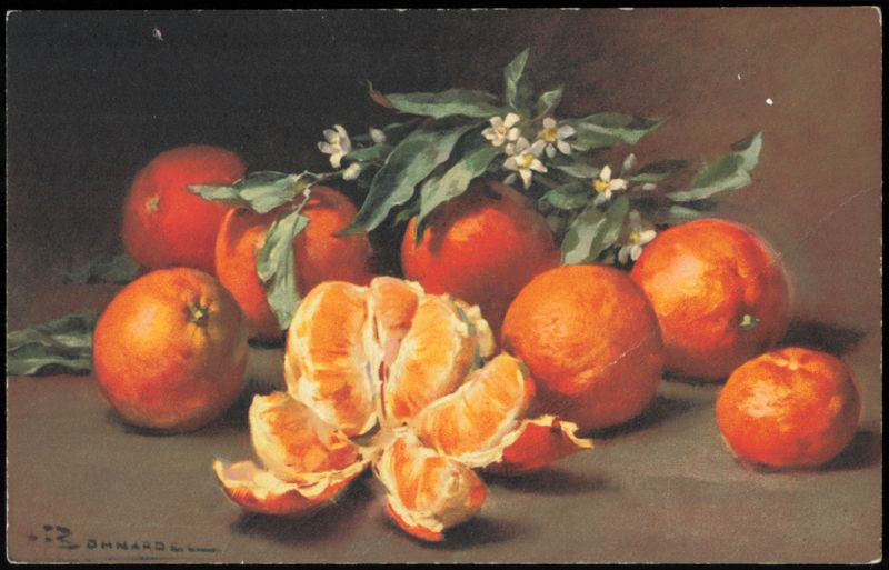 Still Life of Oranges and Orange Blossoms by R. Bonnarde