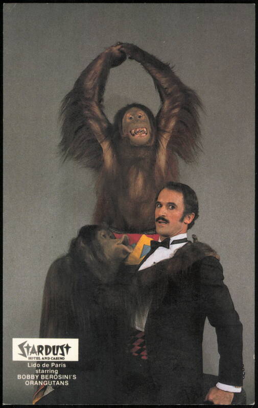 Bobby Berosini's Orangutans, Lido de Paris, Stardust Hotel Las Vegas Nevada