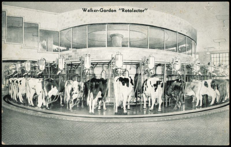 Walker-Gordon Rotolactor Revolving Milking Platform Plainsboro New Jersey