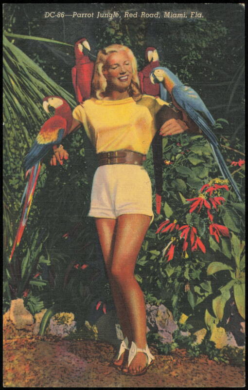 Woman with Macaws at Parrot Jungle, Red Road Miami Florida