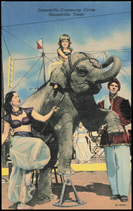 Gainesville Community Circus Elephant Act with Performers Texas