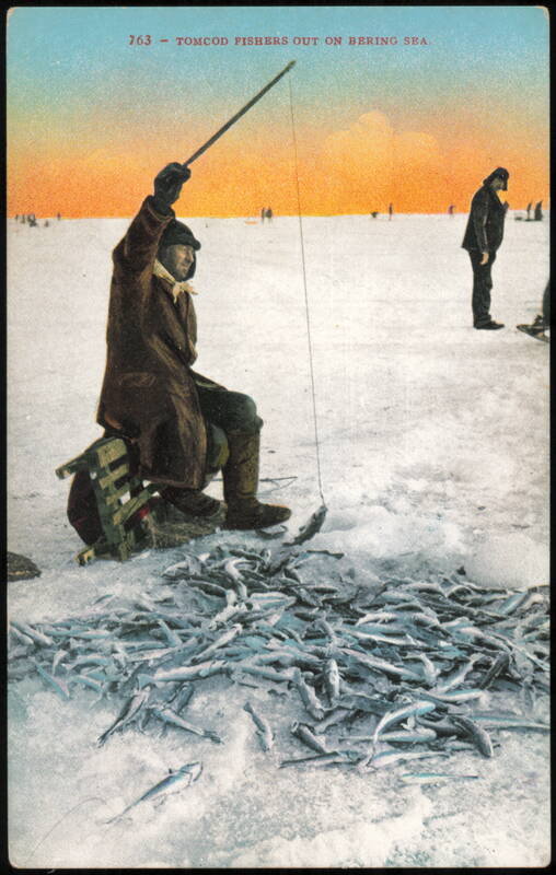 Tomcod Fishers Out on Bering Sea Alaska Fishing