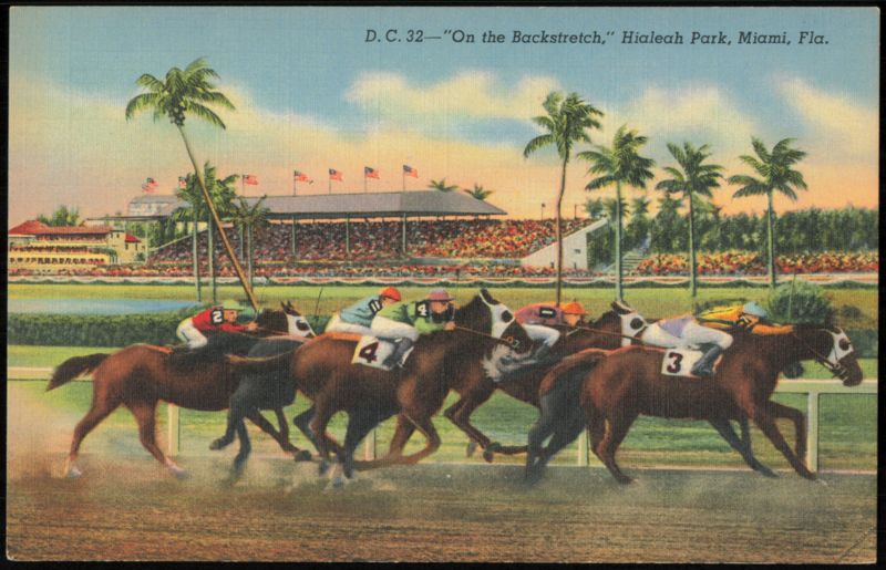 On the Backstretch at Hialeah Park Miami Florida