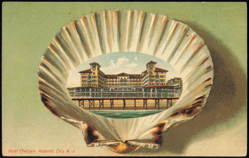 Hotel Chelsea Scallop Shell Illustration Atlantic City New Jersey