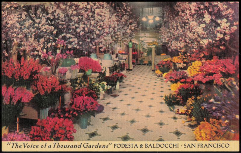 Podesta & Baldocchi The Voice of a Thousand Gardens San Francisco California