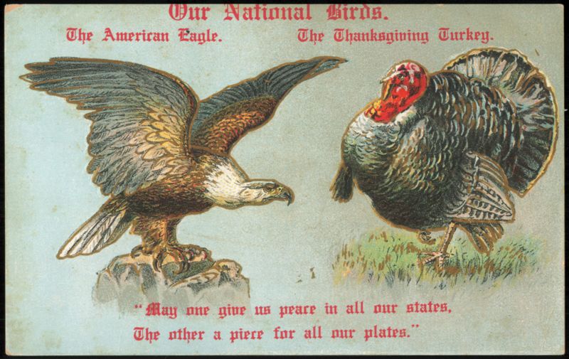 Our National Birds: American Eagle & Thanksgiving Turkey