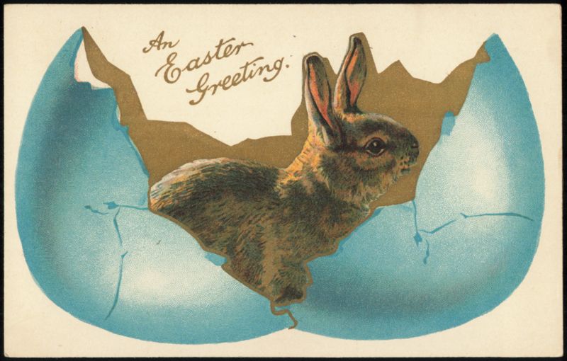 Rabbit Emerging from Blue Eggshell Easter Greeting