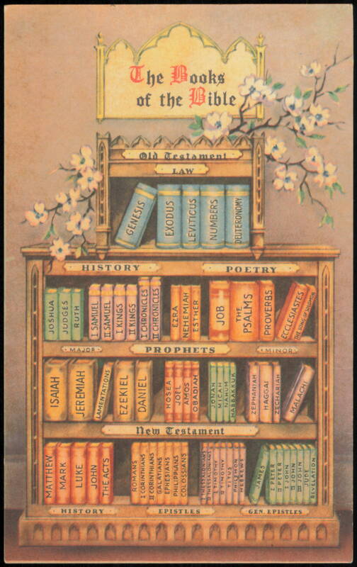 Books of the Bible Illustrated Bookshelf Religious