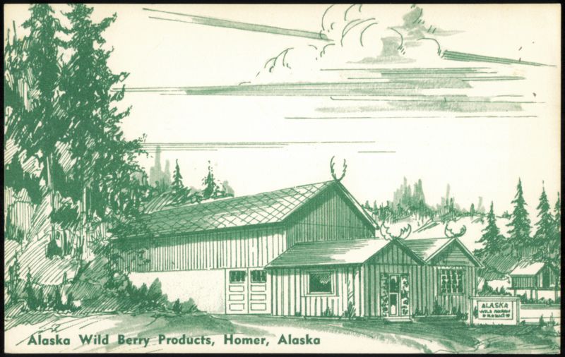 Alaska Wild Berry Products Building with Moose Antlers Homer