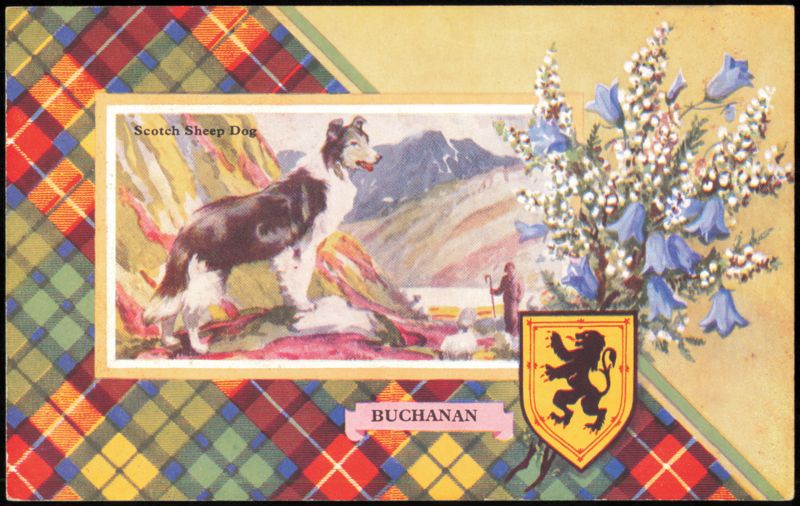 Buchanan Clan Crest, Scotch Sheep Dog & Tartan Border