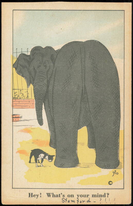 Hey! What's on your mind? Elephant and Dog by Zito