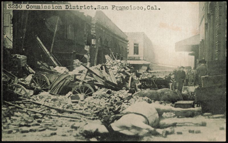 Commission District Destruction, Dead Horses and Rubble San Francisco California