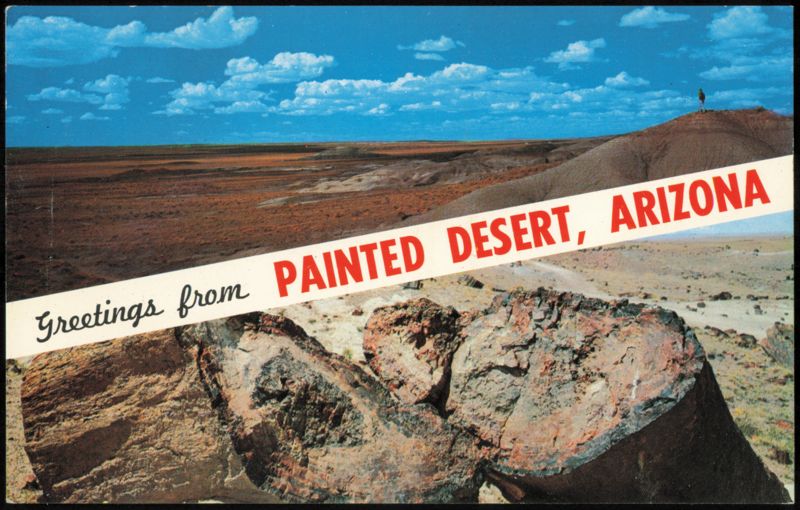 Painted Desert and Petrified Logs, Rainbow Forest Arizona