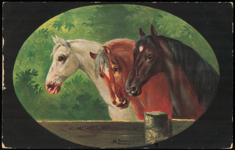 Three Horses Over Fence, German American Novelty Art