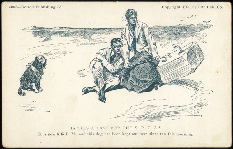 "Is This a Case for the S.P.C.A.?" Humorous Dog Scene