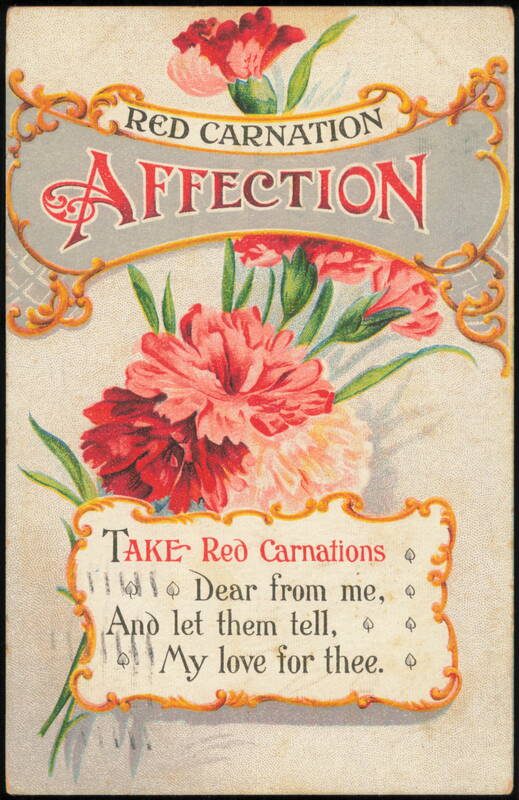 Red Carnation Affection Floral Greeting Poem Flowers