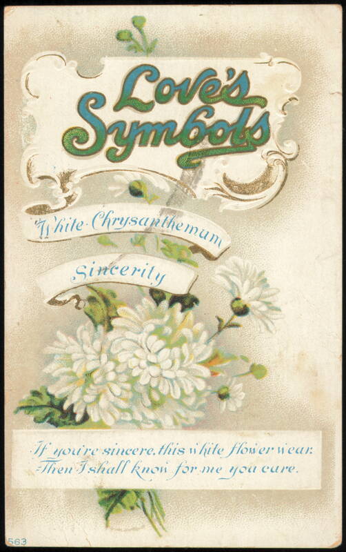 Love's Symbols: White Chrysanthemum for Sincerity Flowers