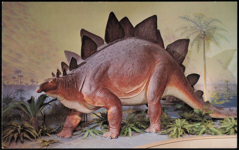 Stegosaurus Life-Size Model, Milwaukee Public Museum Wisconsin