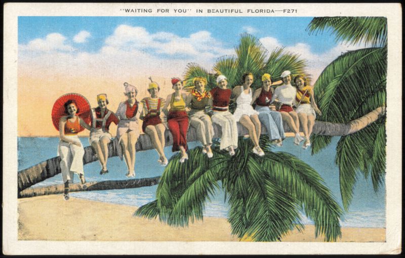 Waiting for You Women on Palm Tree, Florida
